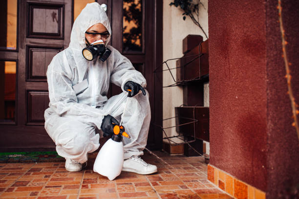 Reliable Cockroach Control contractor in Spring Ridge, MD by Nex Pest Control